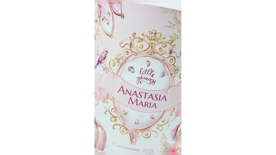 Trusou botez Princess Pink tematică prințesă, elegant și brodat 16